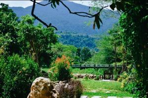 Φυσικό τοπίο κοντά σε αυτό το bed & breakfast