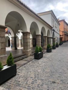 a courtyard with a row of potted plants in a building at Casa Puri in Jérica