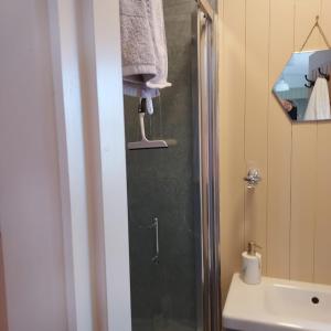 Kupatilo u objektu Abbeyview House B&B and Glamping