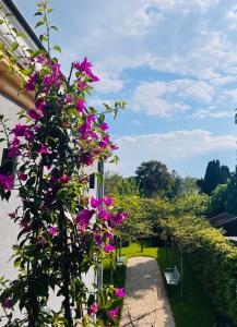 a garden with pink flowers on the side of a building at Het huis van Hermens in Meerssen