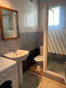 uma casa de banho com um lavatório, um WC e um chuveiro em Les zoizeaux - T2 à 100m de la plage em Saint-Gilles-les-Bains