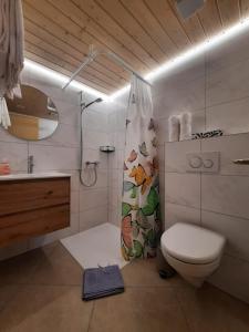 a bathroom with a toilet and a sink and a shower at Gasthof Engelberg in Scharnachtal 