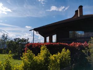 Zahrada ubytování Le Grand Nid - Gîte La Maison Alvéole