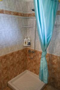 PotamósにあるThalassi Apartment Alykes Potamos Corfuのバスルーム(青いカーテン付きのシャワー付)