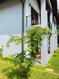 ein weißes Haus mit einem Baum davor in der Unterkunft Lion Gate Hotel Sigiriya in Sigiriya