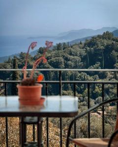 a potted plant sitting on top of a table with a view at Akros-cottage on mountain- ground floor in Stavrinídes