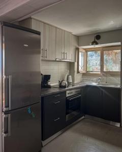 a kitchen with a stainless steel refrigerator and a sink at Akros-cottage on mountain- ground floor in Stavrinídes