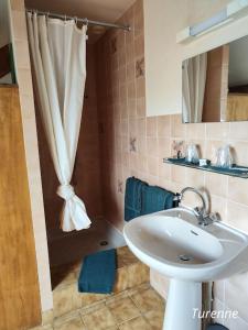 uma casa de banho com um lavatório e um chuveiro em A L'ETAPE DE LA FERME em Noailles