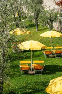 A garden outside Residence Dany appartamenti con cucina vista lago piscina e parcheggio