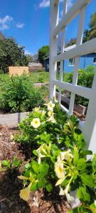 Un jardín fuera de Cute Brand New Home near Tampa Bay-Vicenza Home
