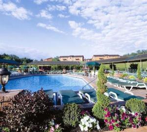 a large swimming pool with lounge chairs and plants at Villa Roma Resort and Conference Center in Callicoon