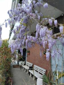 Zahrada ubytování Hotel Lombardia