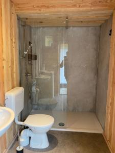 ein Bad mit einer Dusche, einem WC und einem Waschbecken in der Unterkunft Blockhütte am Kegelsberg in Gelenau