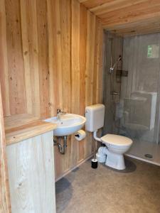 ein Bad mit einem WC, einem Waschbecken und einer Dusche in der Unterkunft Blockhütte am Kegelsberg in Gelenau