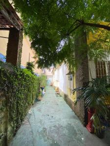 um beco estreito com plantas ao lado de um edifício em Hostel Sol da Barra em Salvador