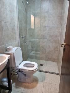 uma casa de banho com um chuveiro, um WC e um lavatório. em ParSur alquileres temporales Catamarca em San Fernando del Valle de Catamarca