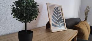 a potted plant sitting on a table next to a picture at Apartamento en el centro de Elche con terraza in Elche