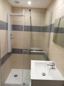 La salle de bains est pourvue d'un lavabo et d'une douche. dans l'établissement Studio meublé 3 personnes, à Saint-Rambert-dʼAlbon