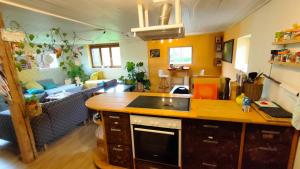 cocina y sala de estar con fregadero y encimera en Nisihof, en Oberkirch