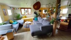 una sala de estar con sofás y plantas. en Nisihof, en Oberkirch
