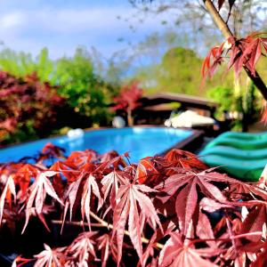 una pila de hojas rojas junto a una piscina en B&B Relais Cascina al Campaccio en Taino