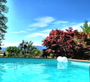 een zwembad met blauw water en bomen bij B&B Relais Cascina al Campaccio in Taino