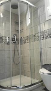 La salle de bains est pourvue d'une cabine de douche et de toilettes. dans l'établissement Θέαστρον - Theastron house with great view in Chora, à Pera Gyalos