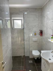 a bathroom with a shower and a toilet and a sink at David Apartments in Ravna Rijeka +4 photos