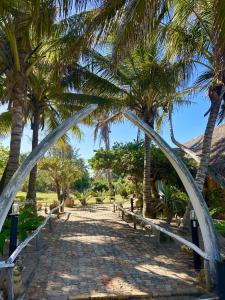 einen Weg mit Palmen und einer Brücke in der Unterkunft Bonito Bay in Cabo Nhabacal