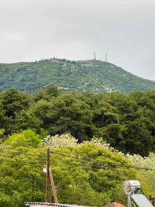 een heuvel met bomen op de top van een berg bij Paul’s Houses in Drama