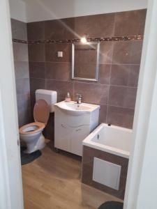 ミシュコルツにあるGábor -lak 2のトイレ、洗面台、鏡のあるバスルーム +4枚の写真