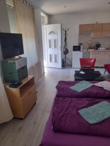 ミシュコルツにあるGábor -lak 2のリビングルーム(ベッド2台付)、キッチンが備わります。