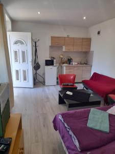 ミシュコルツにあるGábor -lak 2の赤いソファとキッチンのあるリビングルーム