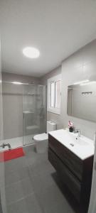 a bathroom with a sink and a toilet and a shower at Cozy and sunny penthouse Fira BCN in Hospitalet de Llobregat