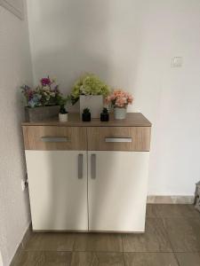 Apartmani Žuti的厨房或小厨房