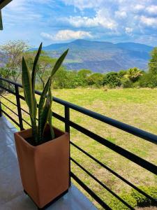 Fotografie z fotogalerie ubytování Hotel Turístico El Cedral v destinaci Socorro