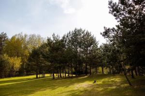 een grasveld met bomen en een persoon in de verte bij Chill Hill Kalviai 