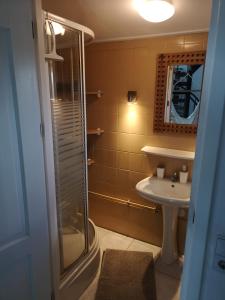 a bathroom with a shower and a sink at Sweet Tiny House in Westbeemster