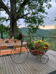 a bike with flowers sitting on a wooden deck at Agriturismo Le Noci in Tarzo