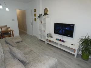 een woonkamer met een bank en een flatscreen-tv bij Vivienda en centro de Yecla in Yecla