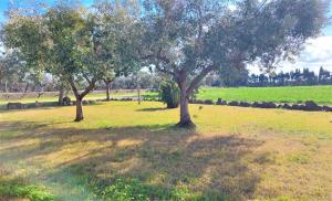 Imagen de la galería de Appartamenti Sisula Manna, en Orosei