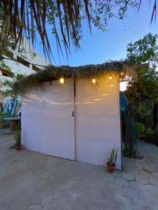 Fotografie z fotogalerie ubytování Aloha Surf Hostel v destinaci San José del Cabo
