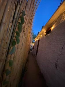 Fotografie z fotogalerie ubytování Aloha Surf Hostel v destinaci San José del Cabo