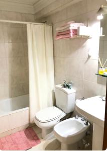 a bathroom with a toilet and a sink and a shower at MENDOZA Suites 1 -con estacionamiento opcional- in Mendoza +28 photos