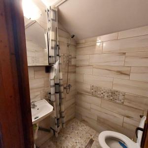 La salle de bains est pourvue de toilettes et d'un lavabo. dans l'établissement Cabana Baile Figa, à Beclean