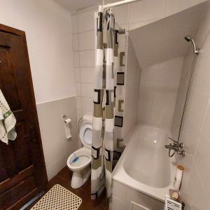 La salle de bains est pourvue de toilettes, d'une baignoire et d'un lavabo. dans l'établissement Cabana Baile Figa, à Beclean