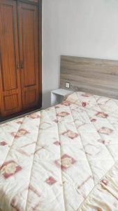 1 cama grande en un dormitorio con armario de madera en 2 bedrooms apartement with city view and wifi at Oviedo, en Oviedo