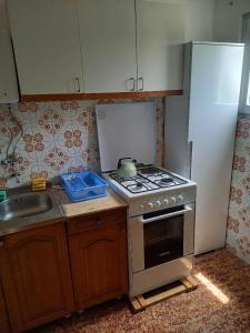 a small kitchen with a stove and a sink at Apartman SunnySide in Rogoznica
