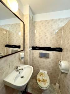 een badkamer met een wastafel en een toilet bij OW Mikomania in Charzykowy