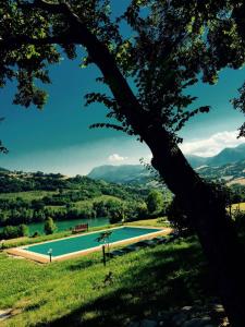 a swimming pool in a field with a tree at Casa Raphael, Amandola in Amandola